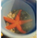 AquaMagie - Ferienwoche, ganztägig betreut