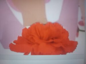 Internationaler Weltfrauentag ausgerichtet von der Frauengruppe DIDF Krefeld