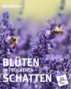 Blüten im trockenen Schatten Essbares Krefeld