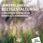 Immerblühende Beetgestaltung