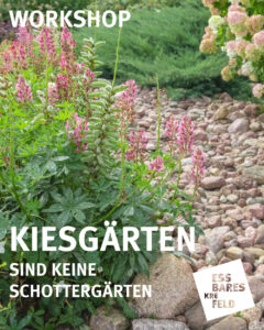 Kiesgärten sind keine Schottergärten Essbares Krefeld