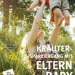 Kräuterspaziergang für Eltern & Babys