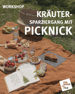 Kräuterspaziergang mit Picknick für Erwachsene Essbares Krefeld