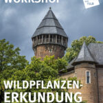 Wildpflanzen-Erkundung in Linn