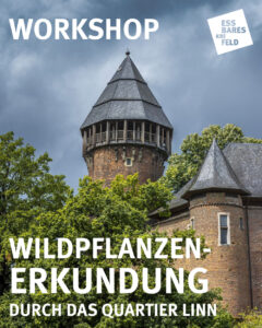 Wildpflanzen-Erkundung in Linn Essbares Krefeld